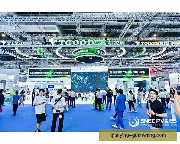 2026世界杯冠军热门球队预测：谁将成为新的足球王者