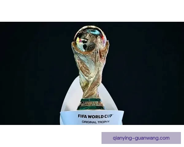 2026世界杯精彩回顾各队表现与冠军争夺全解析